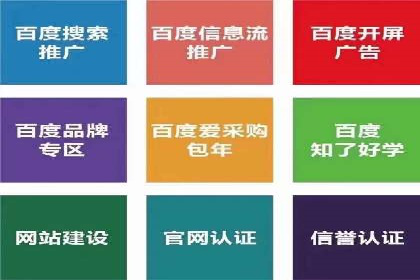 网络推广与竞价广告：双管齐下的策略案例